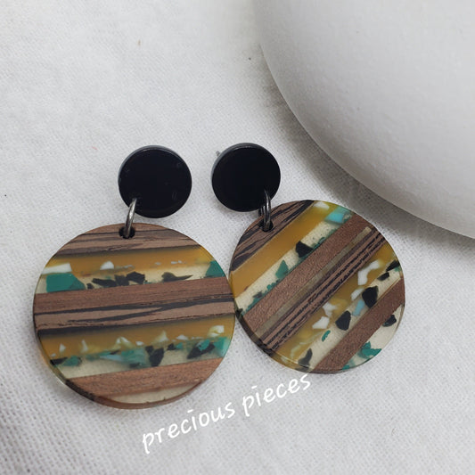 Wood Nature Tone Earrings